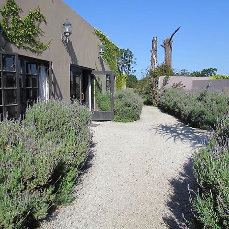 Plett River Lodge Plettenberg Bay Bagian luar foto