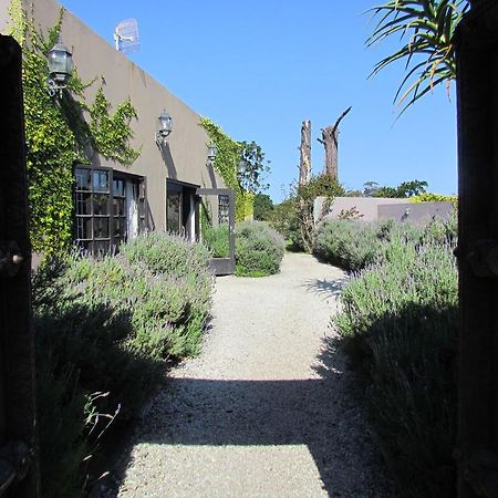 Plett River Lodge Plettenberg Bay Bagian luar foto