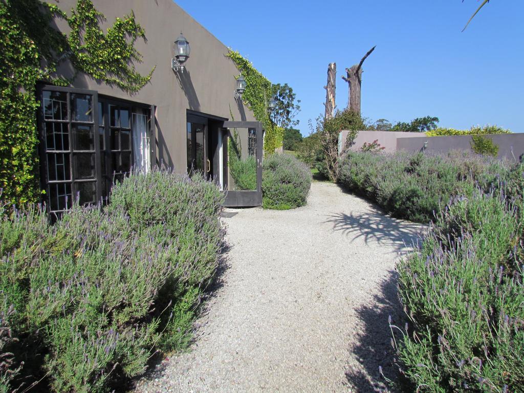 Plett River Lodge Plettenberg Bay Bagian luar foto