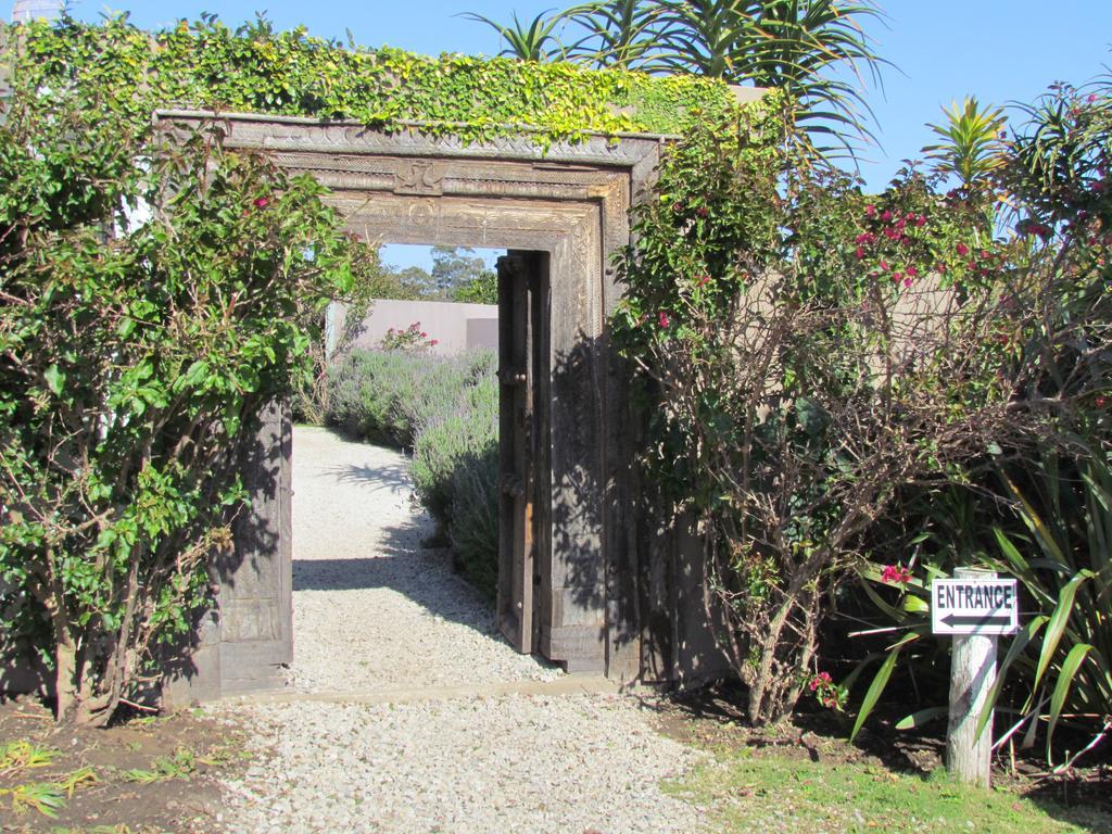 Plett River Lodge Plettenberg Bay Bagian luar foto